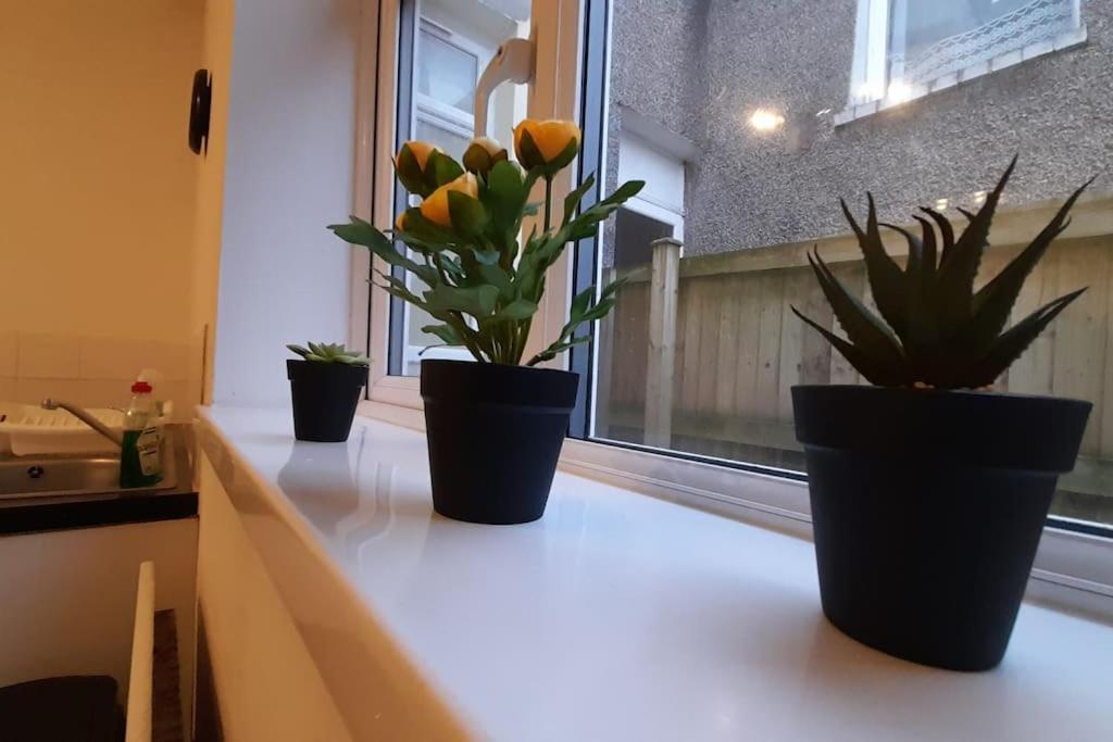 Spacious 4 Bedroom, Free Netflix, Central Location Cardiff Ngoại thất bức ảnh