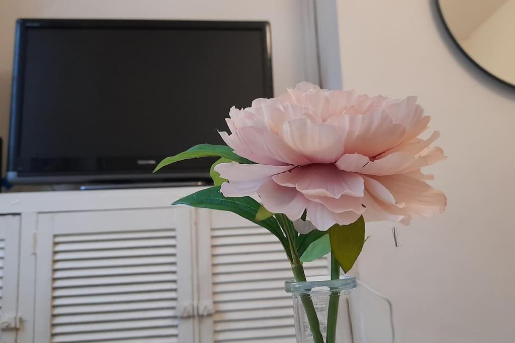 Spacious 4 Bedroom, Free Netflix, Central Location Cardiff Ngoại thất bức ảnh