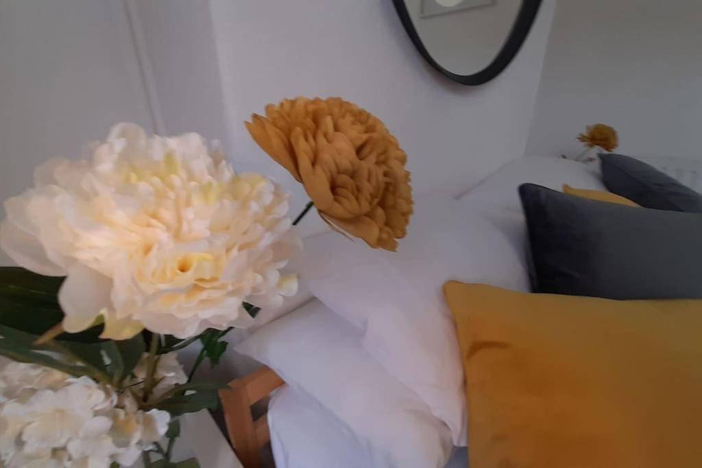Spacious 4 Bedroom, Free Netflix, Central Location Cardiff Ngoại thất bức ảnh